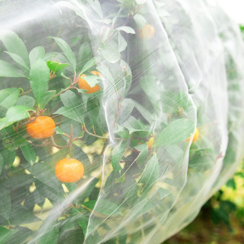 Alpurple Insect Bird Barrier Netting Mesh-10 x 15 Feet Garden Bug Netting Plant Cover for Protect Plant Fruits Flower from Insect Bird Eating - Image 3